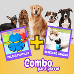 Combo Pet : Pelota saltarina + bebedero canino